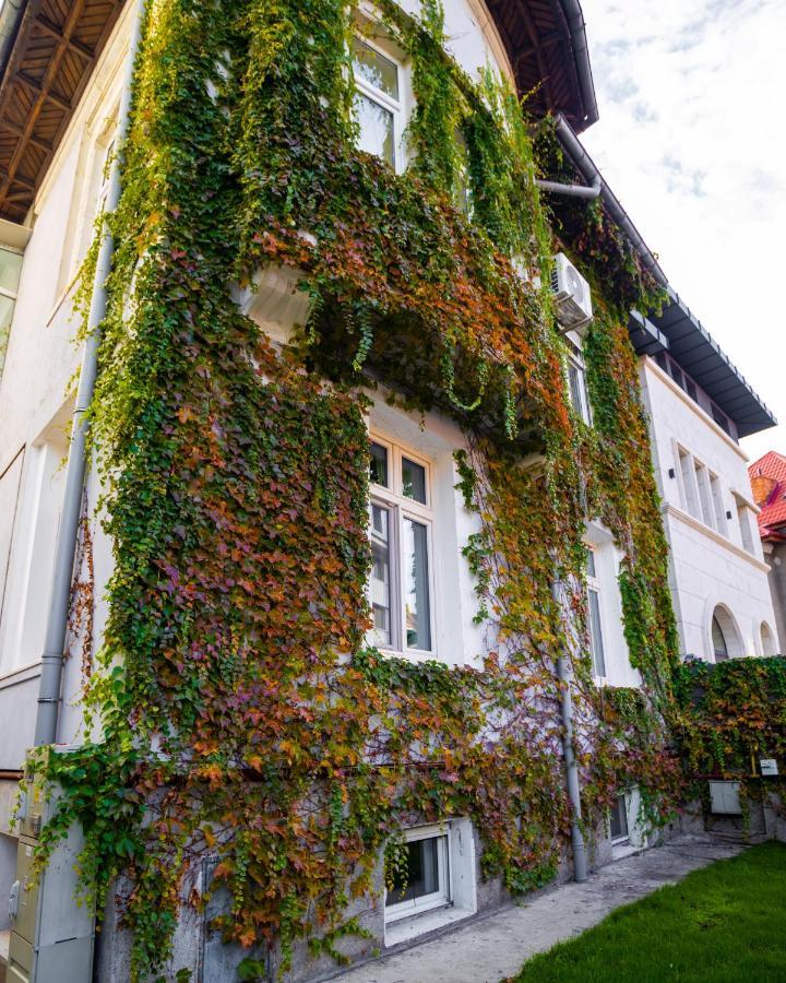 Apartment Mansarda Cotroceni Bukarest
